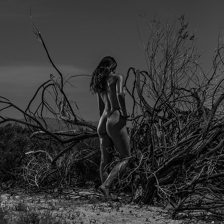 SALTON SEA