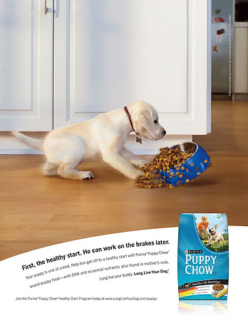 Puppy Chow